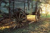 Color photo of an old wooden wagon in somewhat dilapidated condition with the wheel closest to the camera having separated from the metal hoop and missing a couple spokes. The scene is light from the right with a strong golden light filtered through green tree branches.
