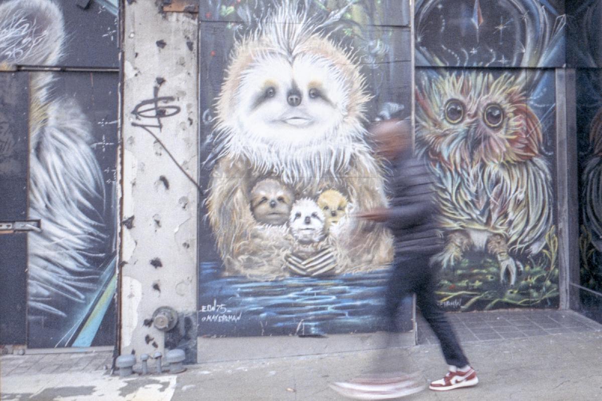 A person is captured mid-stride with motion blur in front of a wall with several panels of art, the man is between a painting of a sloth holding three baby sloths and another of an own both very colorful. The orientation of the painting and the position of the person makes it appear as if the the creature are looking at the passer by.