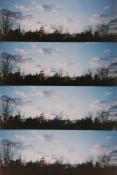 Four horizontal panoramas of a sunset scene with trees in silhouette and puffy warm clouds against a blue sky.