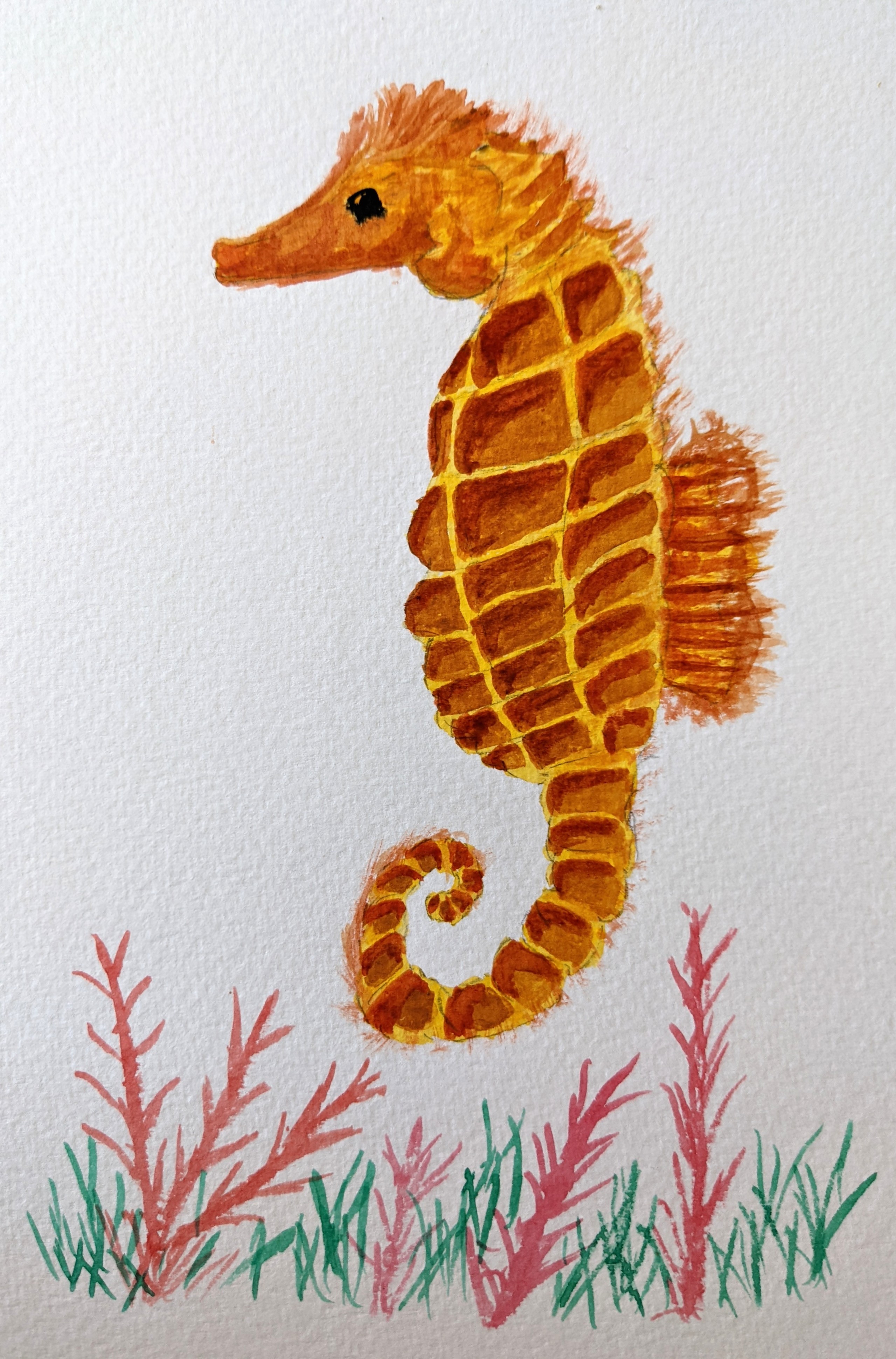 Watercolor painting of a seahorse in yellows browns and reds floating above slight green and pink vegetation