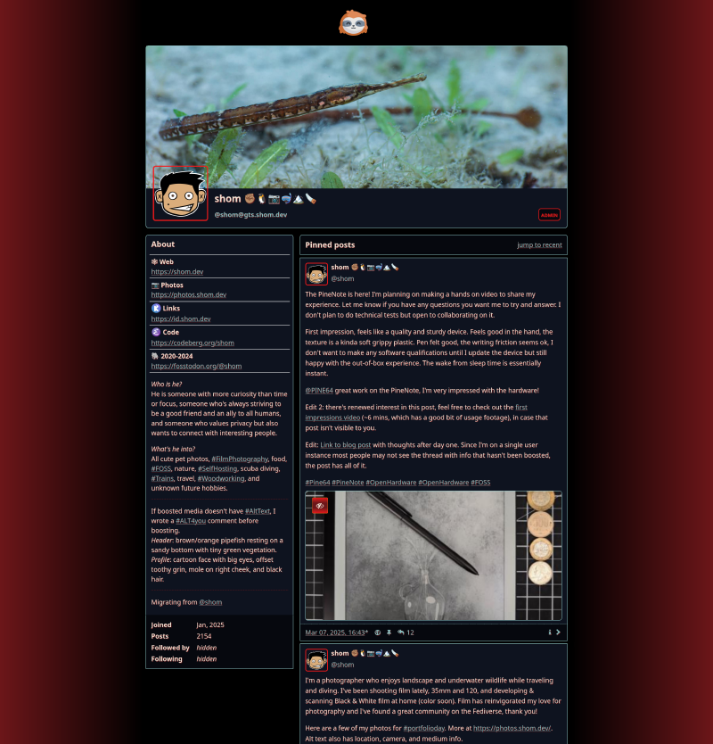 Screenshot of the theme, it has red edges fading to black in the middle