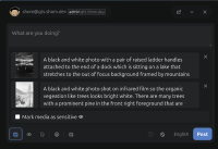 Cover image from article, alt-text in article