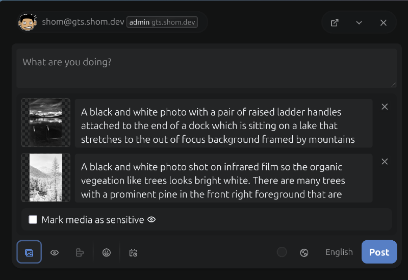 A screenshot of Phanpy compose window with two black and white images added and the alt-text filled out.