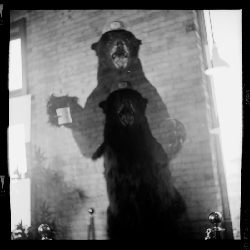 Black and white photo of a taxidermied polar bear dyed black holding a coffee cup in front of a brick wall and very bright windows to either side.