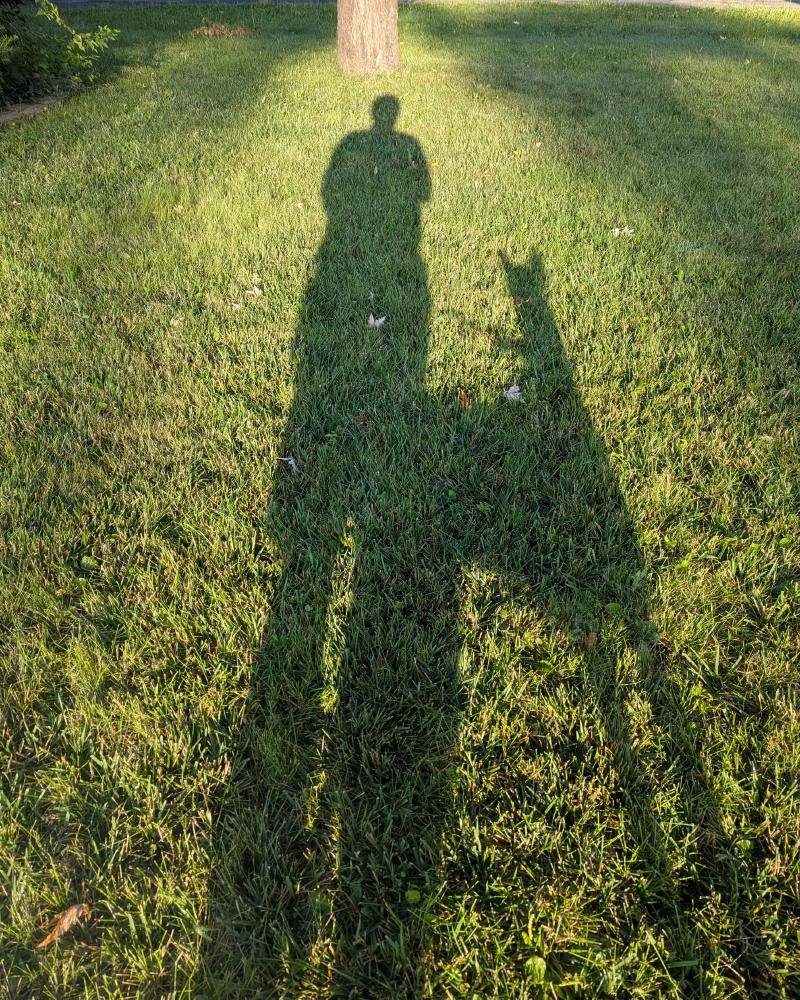 Elongated shadows of a person and a dog (in profile) stretched out over grass lit by a soft morning sun.