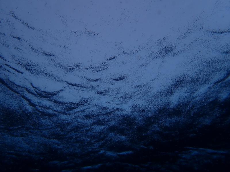 An abstract scene of light blue on the top of the frame making way to darker blues towards the bottom with a lot of undulating dappled texture throughout the image. It's a photo of rain falling on the surface of water taken from underwater.