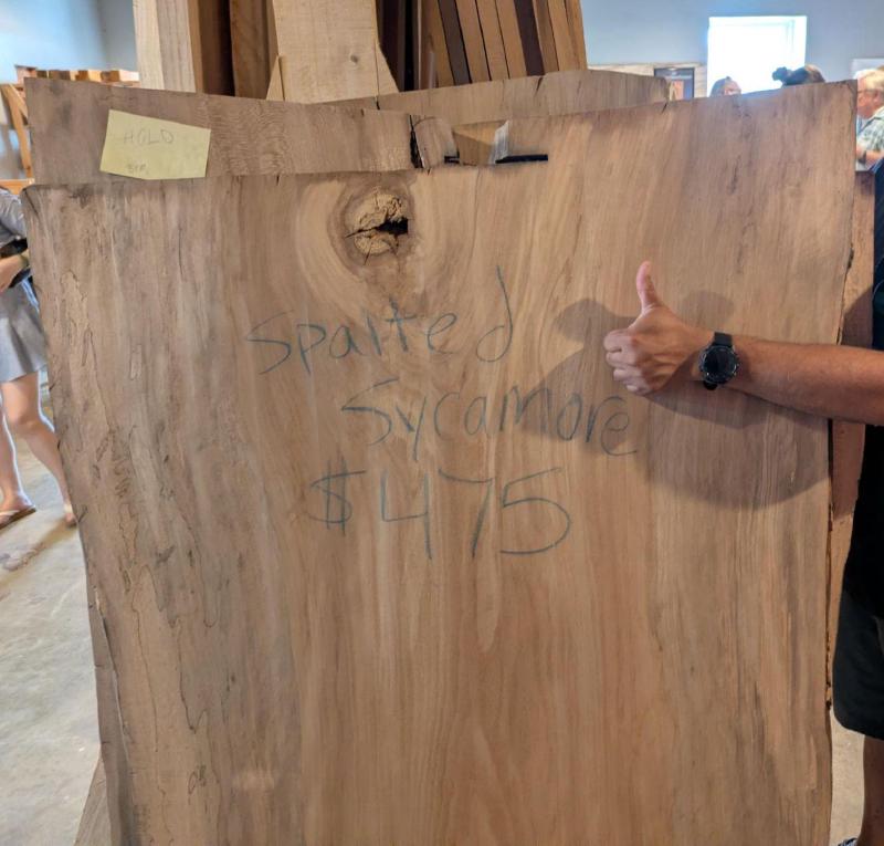 A very wide slab of spalted sycamore with a brown hand giving a thumbs up to show the scale. It is several feet across and perhaps five feet tall.